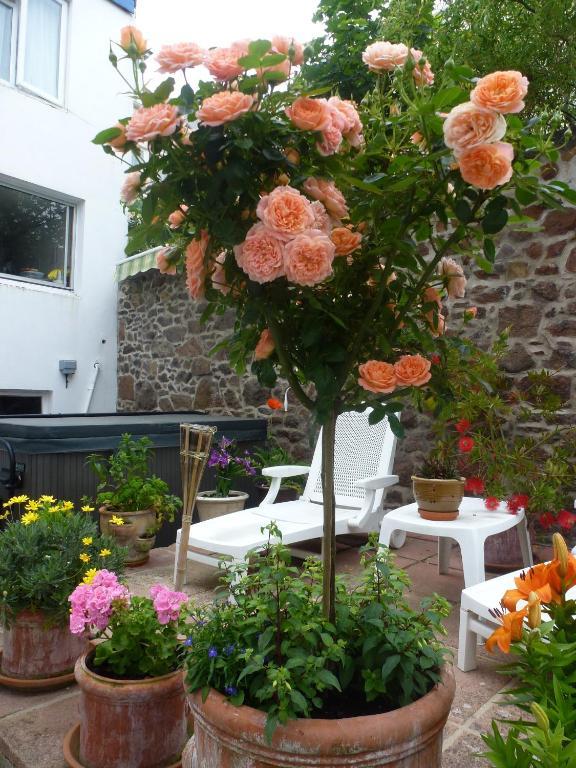 Bayview Guest House Saint Helier Eksteriør billede